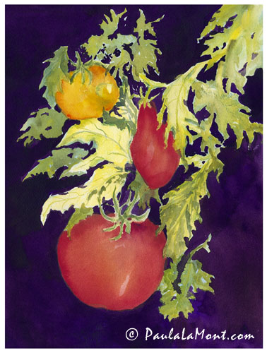 Tomatoes on the Vine